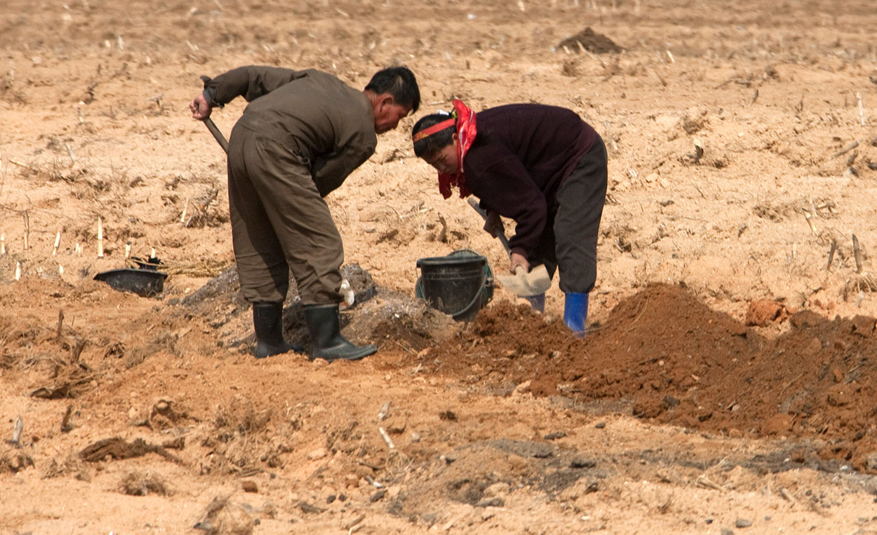  North Korean farmers working in a field © Eric Lafforgue / Hans Lucas