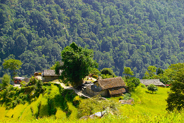 Countryside in Nepal. Social security schemes assist people who are socially and economically vulnerable. ©We Social Movements