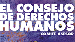 Comité Consultivo del CDH