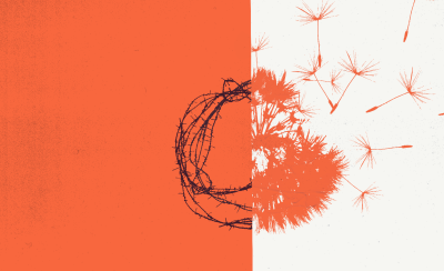 Illustration of a barbwire and a dandelion. © OHCHR