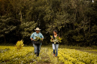 Farmer couple walking in the middle of the plantation.© Getty/Amanda Caroline da Silva