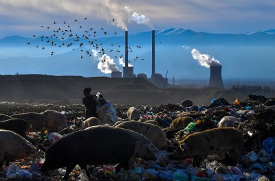 A woman collects plastic bottles while pigs feed at a landfill site in front of the biggest thermal power station near Bitola, North Macedonia, 06 December 2018. © EPA-EFE/GEORGI LICOVSKI