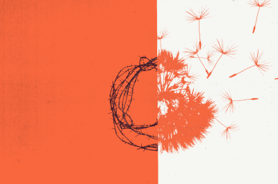 Illustration of a barbwire and a dandelion. © OHCHR