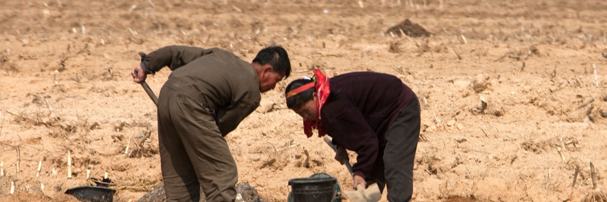  North Korean farmers working in a field © Eric Lafforgue / Hans Lucas