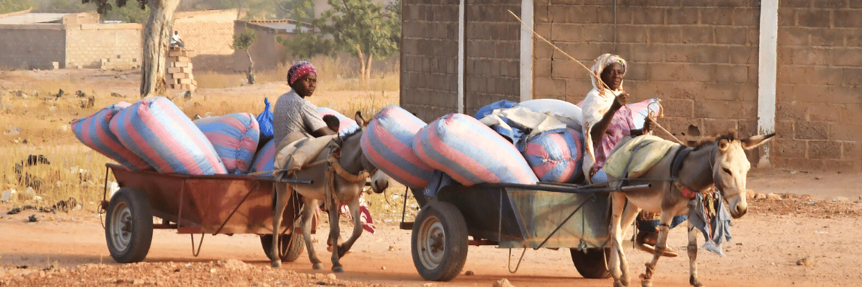 Displaced women, who fled from attacks of armed militants in town of Roffenega, ride donkey carts loaded with food aid at the city of Pissila, Burkina Faso January 23, 2020 © REUTERS/Anne Mimault