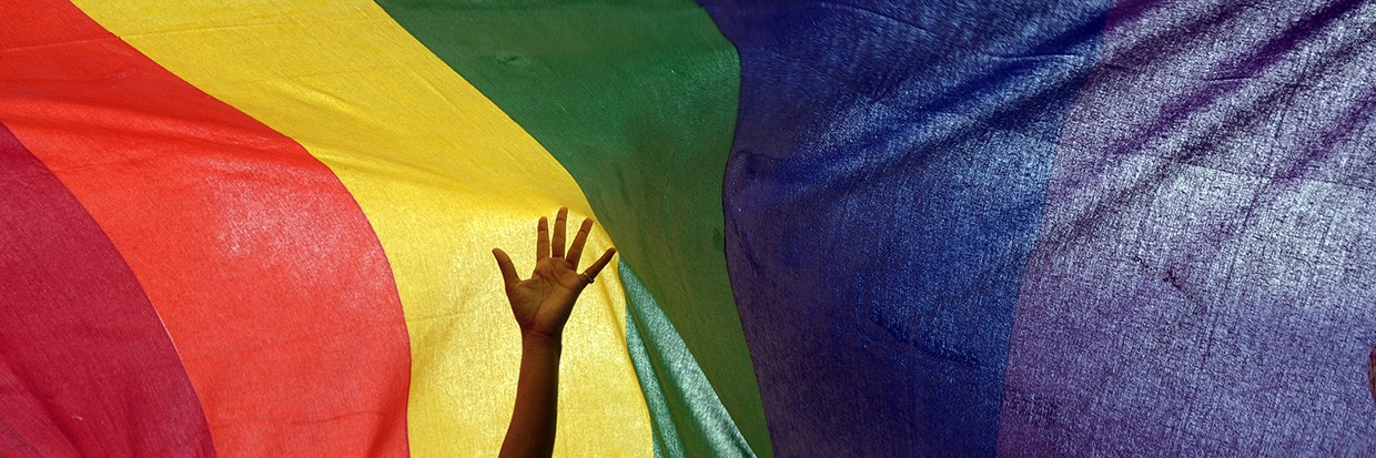 Un miembro de una minoría sexual india gesticula sobre una bandera arco iris mientras participa en la Marcha del Orgullo Arco Iris en Calcuta el 7 de julio de 2013. Cientos de activistas LGBT participaron en la manifestación para exigir la igualdad de derechos sociales y humanos para su comunidad. © AFP PHOTO/ Dibyangshu SARKAR