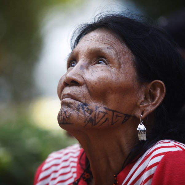 Indigenous older woman looking up