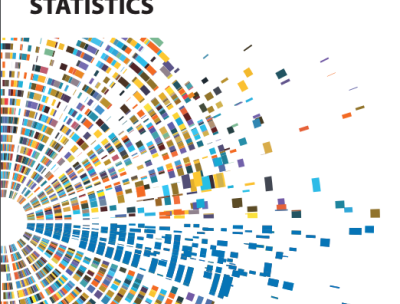 Praia Handbook on Governance Statistics