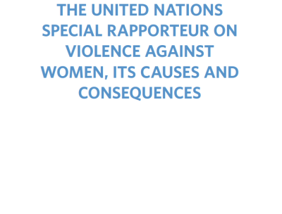 15 years of the United Nations Special Rapporteur on Violence against Women, its causes and consequences cover