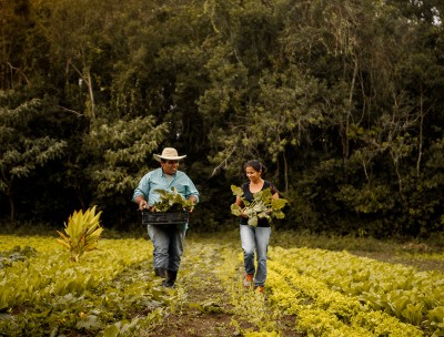 Farmer couple walking in the middle of the plantation.© Getty/Amanda Caroline da Silva