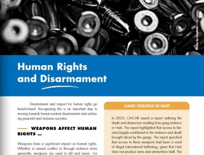 Cover: Briefer on Human Rights and Disarmament