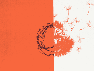 Illustration of a barbwire and a dandelion. @ OHCHR